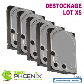 Lot de 5x Disques Durs 500Go 3.5" SATA 7200RPM pour PC de bureau - Destockage