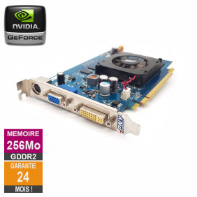 Carte graphique PNY Nvidia GeForce 8500GT 256Mo GDDR2 PCI-e DVI VGA S-Video