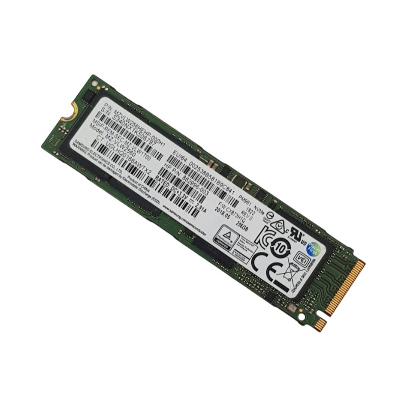 256Go Samsung PM961 MZ-VLW2560