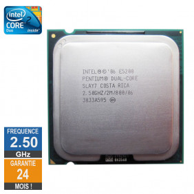 Processeur Intel Pentium Dual-Core E5200 2.50GHz SLAY7 LGA775 2Mo