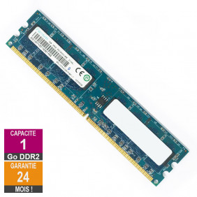 Barrette Mémoire 1Go RAM DDR2 Ramaxel RML1320HC38D7F-667-LF DIMM PC2-5300U 2Rx8