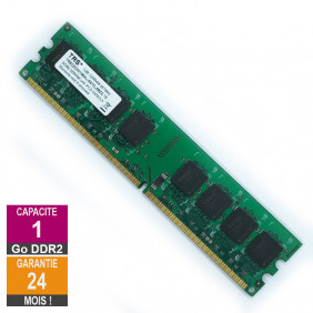 Barrette Mémoire 1Go RAM DDR2 Trs TRSDD2001G64U-667CL5BZX-16 DIMM PC2-5300U 2Rx8